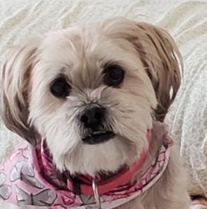 Meet your Posher, Kathy